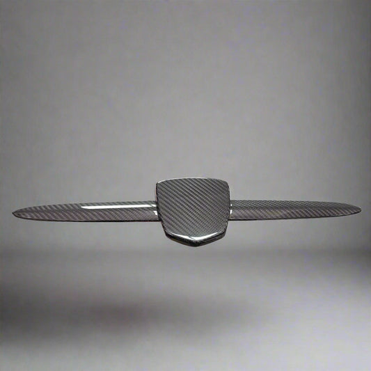 Cover Logo Anteriore in carbonio Fiat 500 Abarth 500-595-695