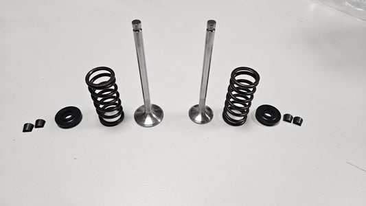 KIT VALVOLE RINFORZATE + KIT MOLLE RINFORZATE 1.4 T-jet