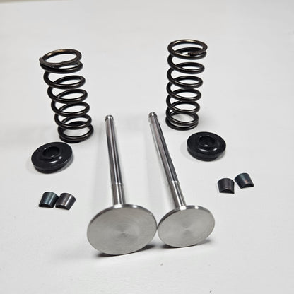 KIT VALVOLE RINFORZATE + KIT MOLLE RINFORZATE 1.4 T-jet