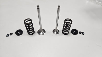 KIT VALVOLE RINFORZATE + KIT MOLLE RINFORZATE 1.4 T-jet